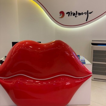 주식회사 가인미가그룹